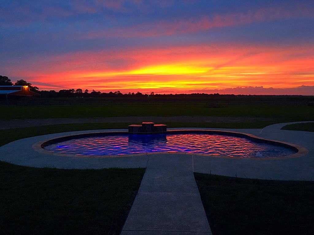 How Modern Backyard Design Is Evolving: Why Homeowners Are Turning to Custom Pool Construction & Outdoor Living Spaces