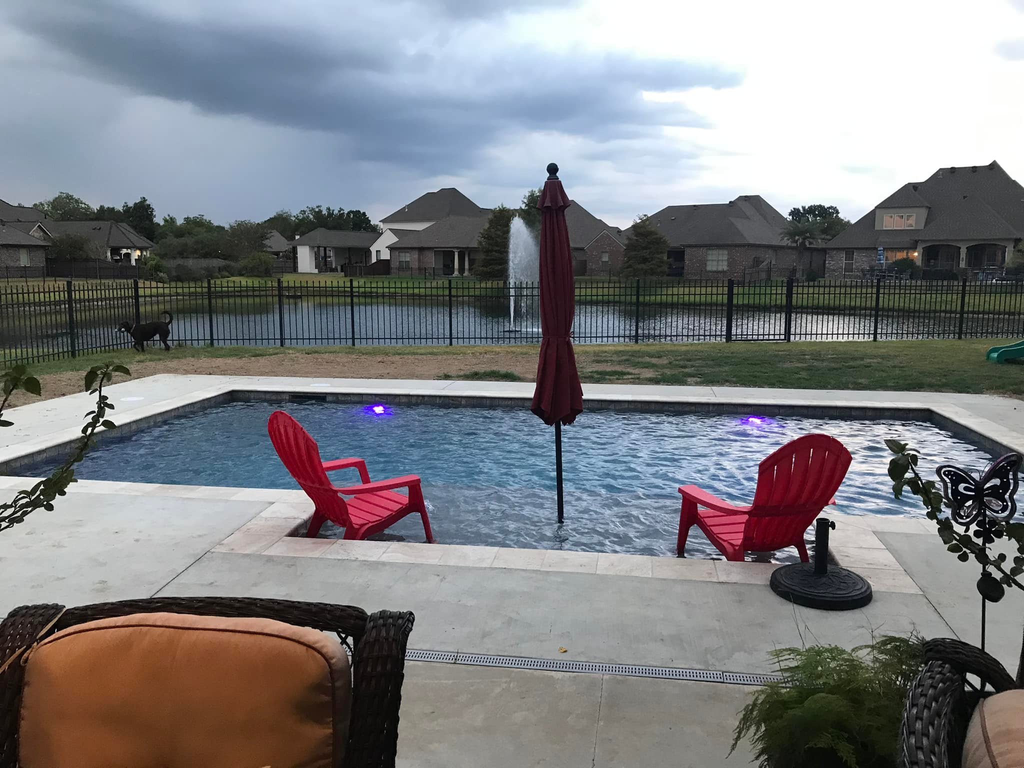Design Beyond the Water: How Custom Pools Are Shaping Backyard Living in Lafayette, LA